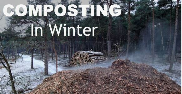 Composting In Winter